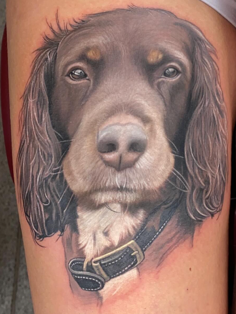 A full colour tattoo of a brown Spaniel.