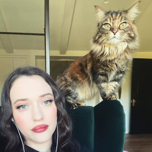 kat dennings and her cat millie