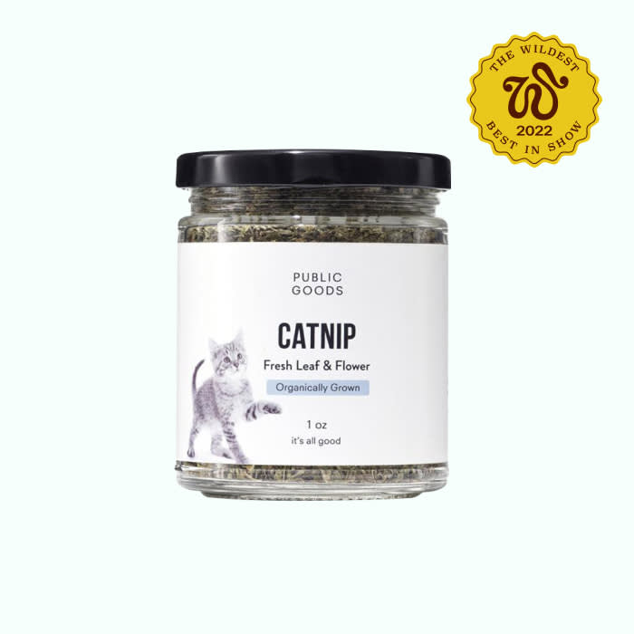 the jar of catnip