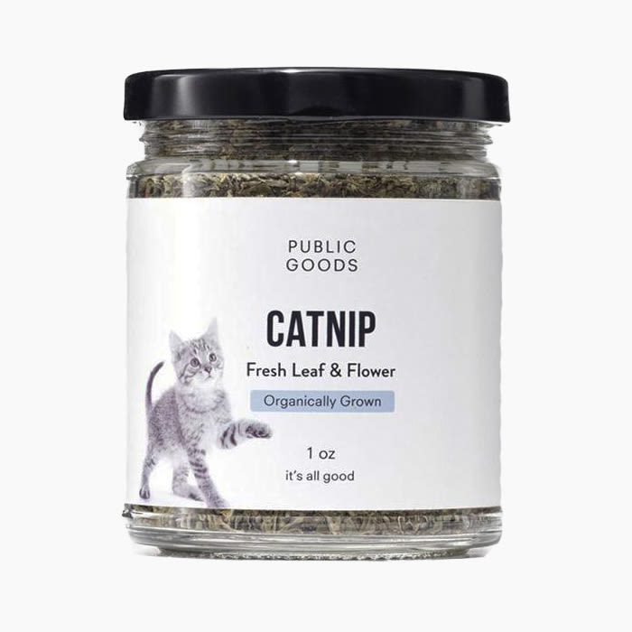 the jar of catnip