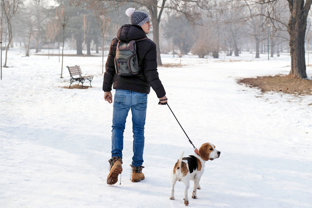 a person walking a dog in a snowy park