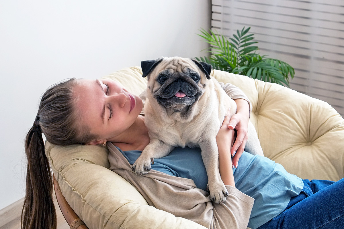 Dog on couch with person