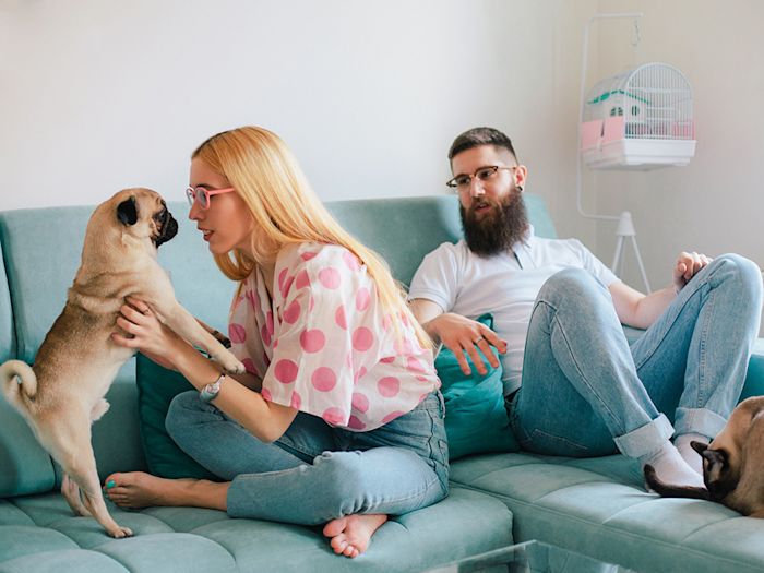 A woman sitting on a couch playing with a dog with her back to her partner.