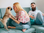 A woman sitting on a couch playing with a dog with her back to her partner. 