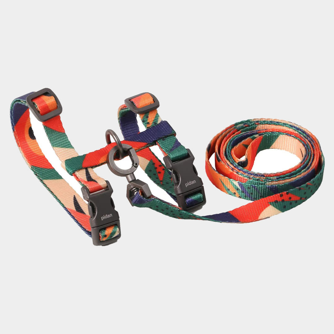 Pidan Cat Harness and Leash