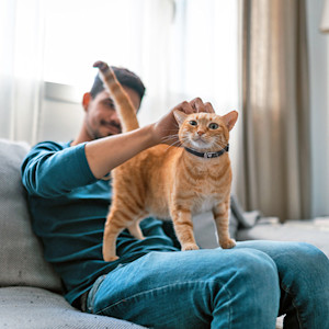 Man petting his orange cat at home.