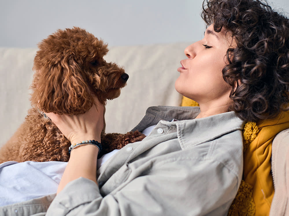 Woman talking to her small poodle dog at home.