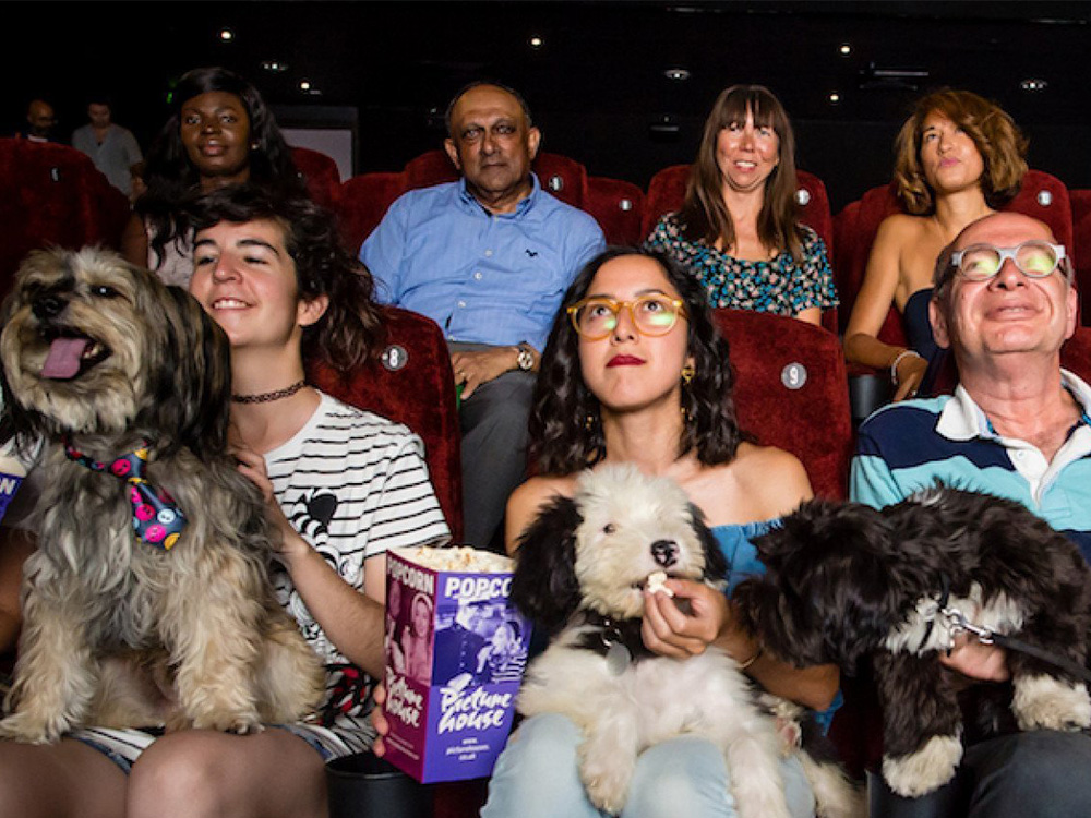 dogs at the cinema 