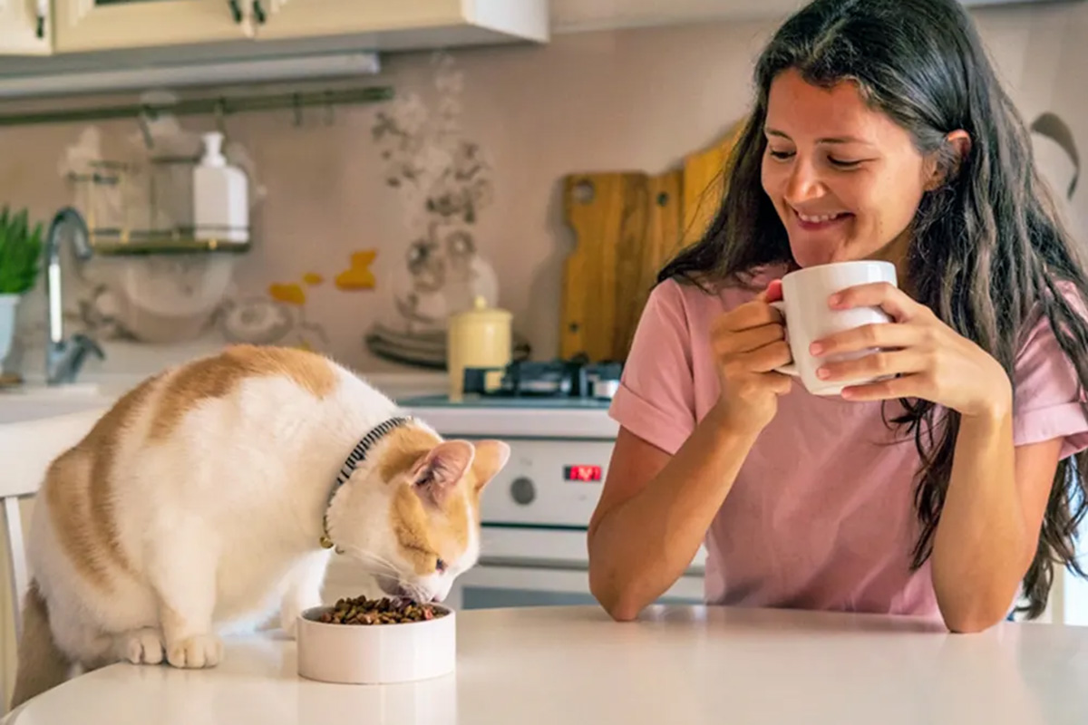 Person watching a cat eat