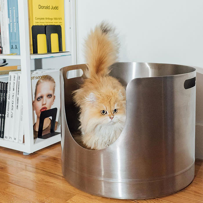 cat in stainless steel bin