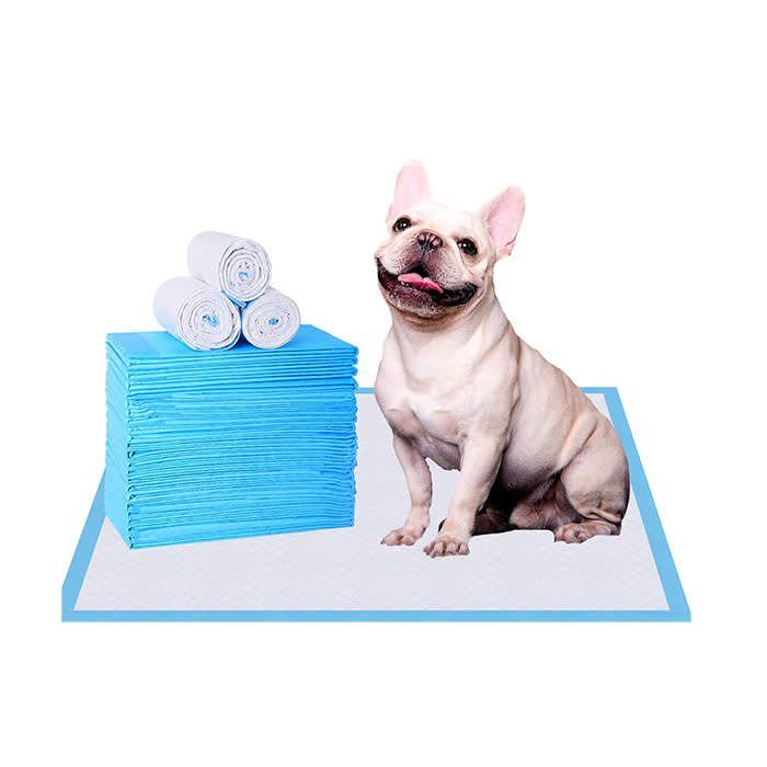 french bulldog on a pee pad