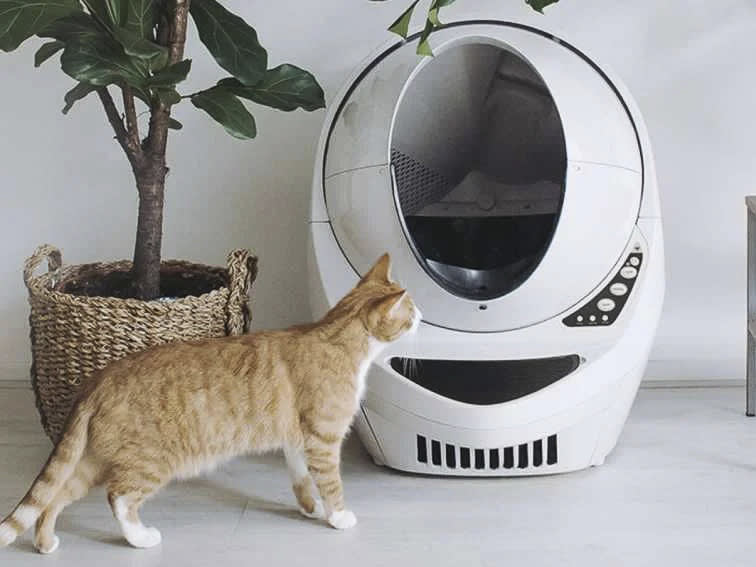 I just spent a week with a robot cat and my life will never be the