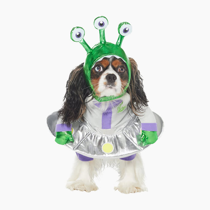 alien dog costume