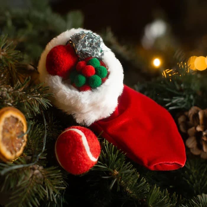 cat christmas stocking in christmas tree