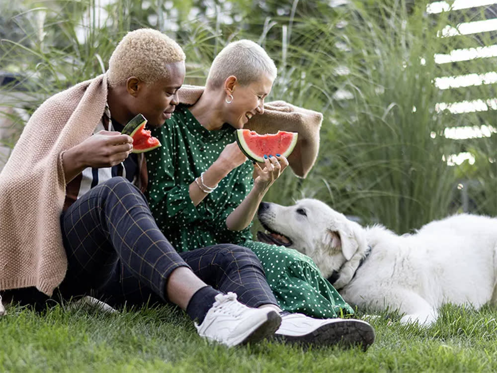 two people enjoying watermelon with their dog sniffing at the fruit in their hands