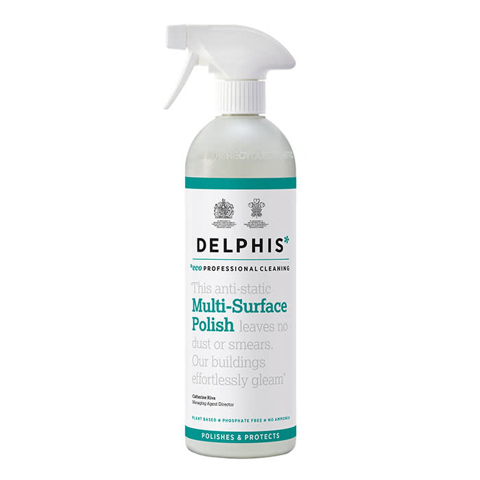 Delphis Multi-Surface Polish 