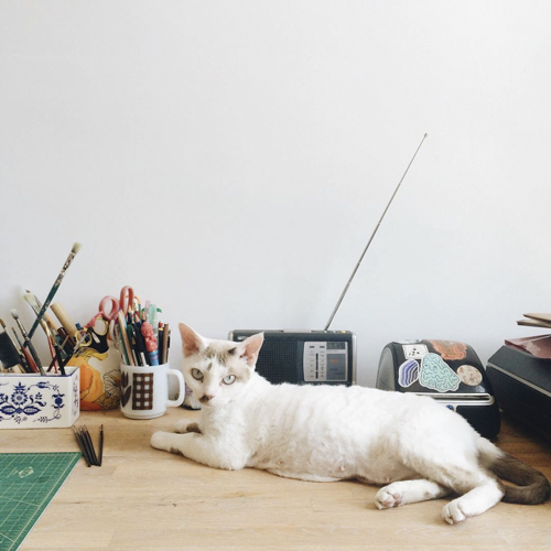 Leah Goren's white cat