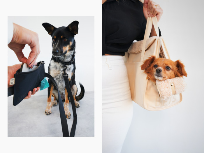 shay mitchell beis pet carrier collection