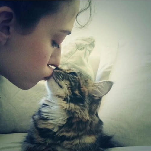 kat dennings kissing her cat millie