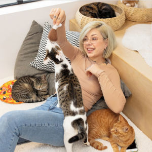 three kittens lounge with a human