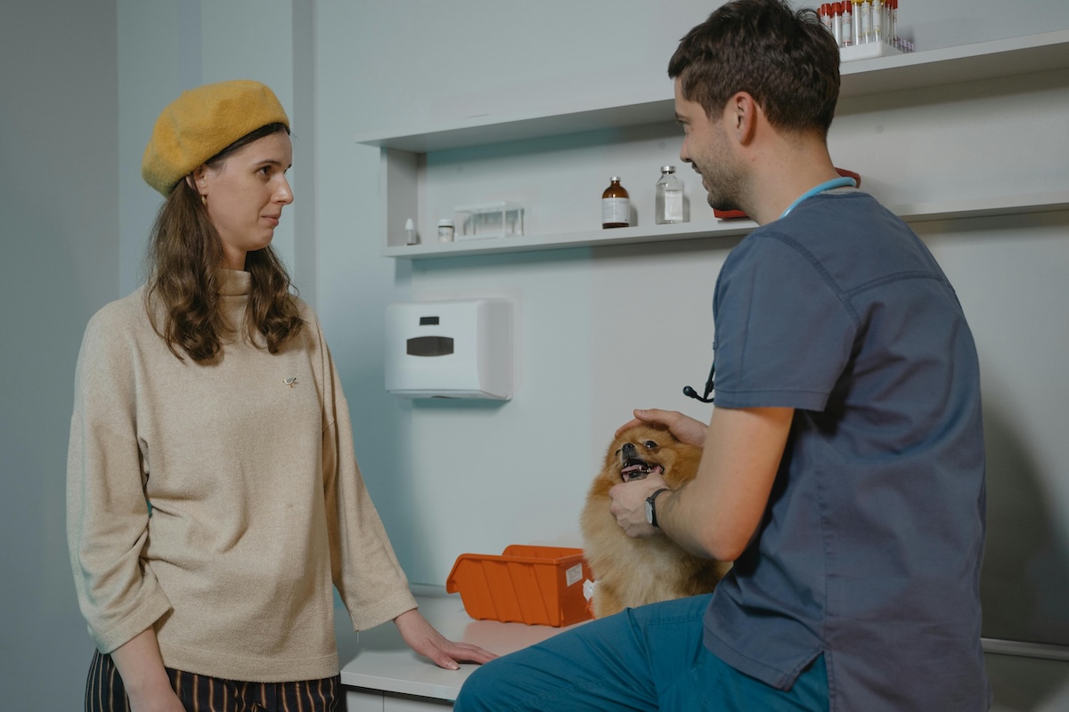 a picture of a woman in a yellow beret talks to a male vet holding a pomeranian