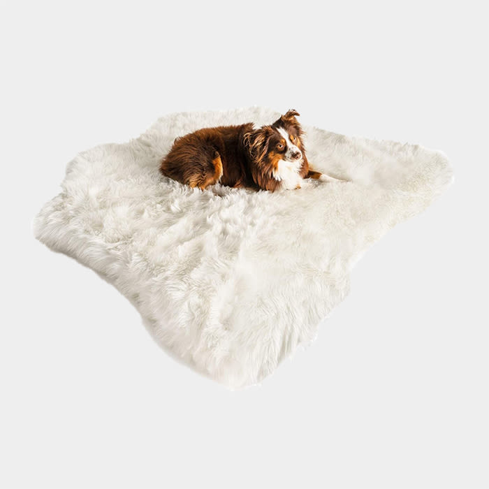 PAW BRANDS Puprug Memory Foam Orthopedic Dog Bed