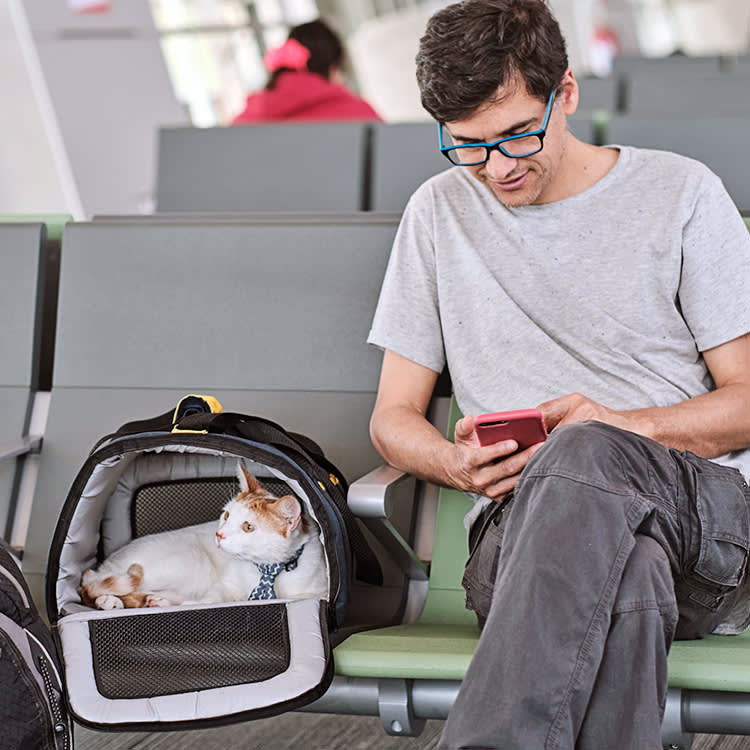 Man at an airport with his cat in a carrier.