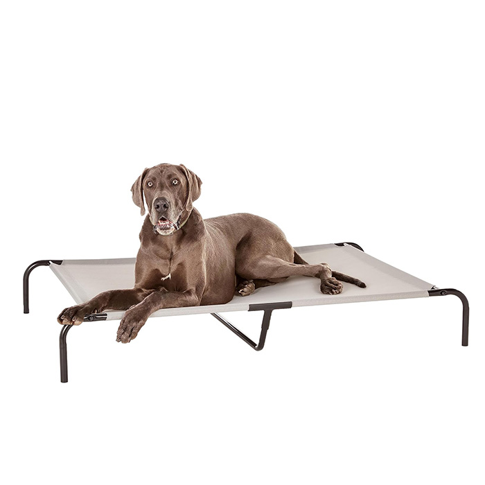 Amazon Basics Cooling Elevated Dog Bed