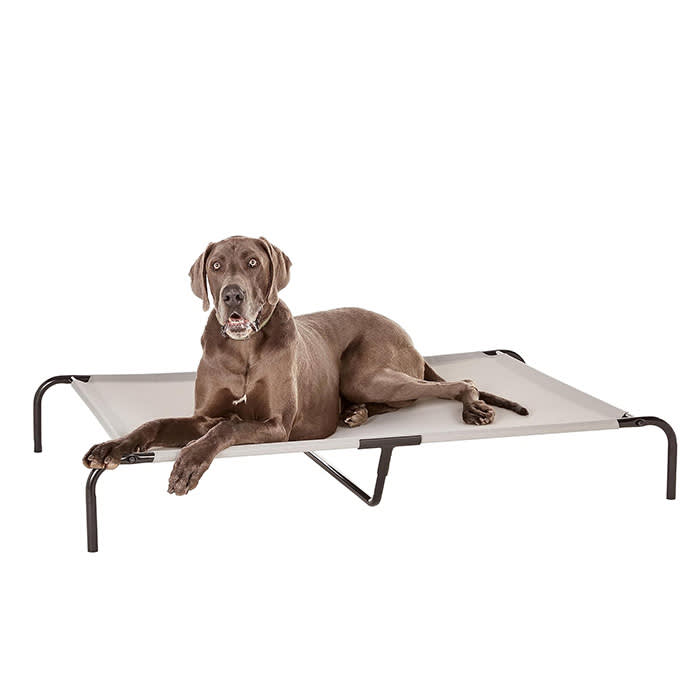 Amazon Basics Cooling Elevated Dog Bed