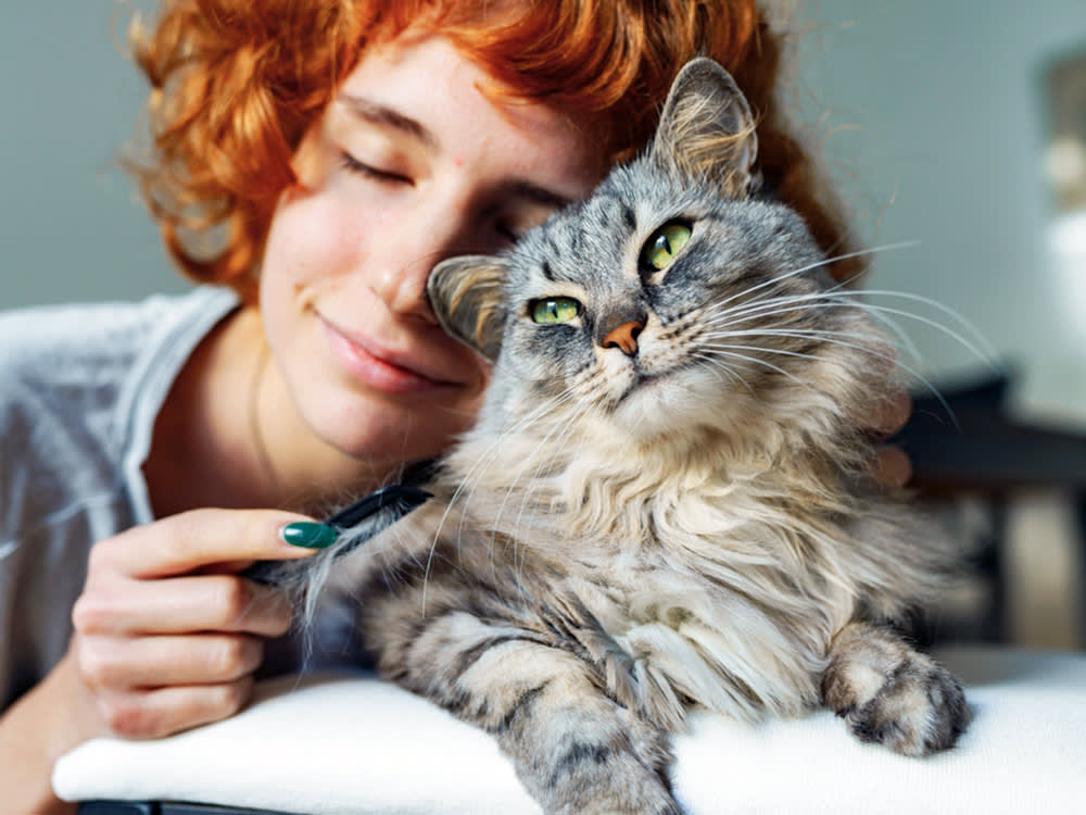 Woman snuggling her gray cat at home.