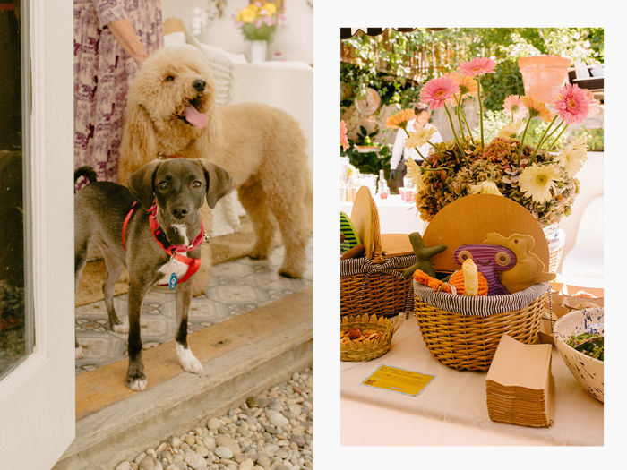 two dogs lounge in a doorway; a basket of dog toys and flowers