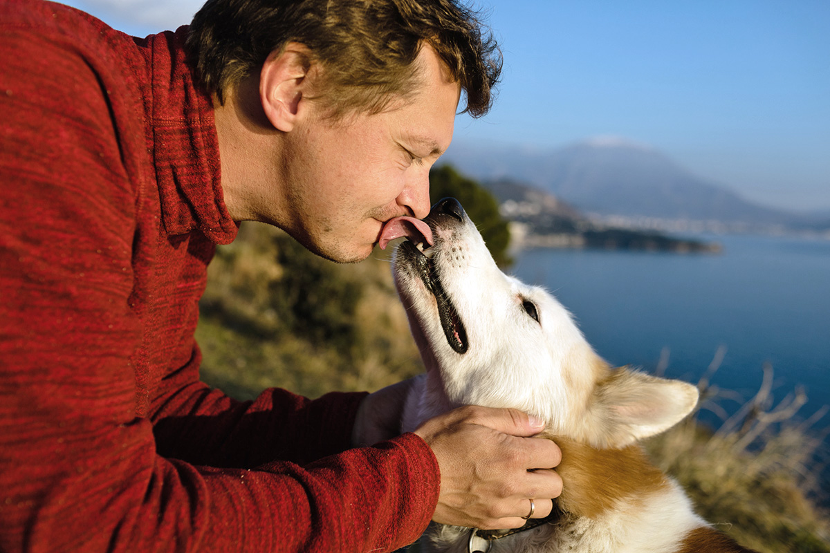 dog licking person's face