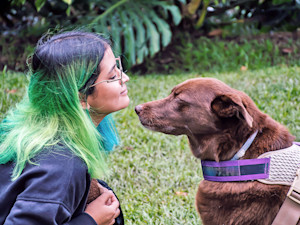 Woman looking at her brown Labrador dog outside.