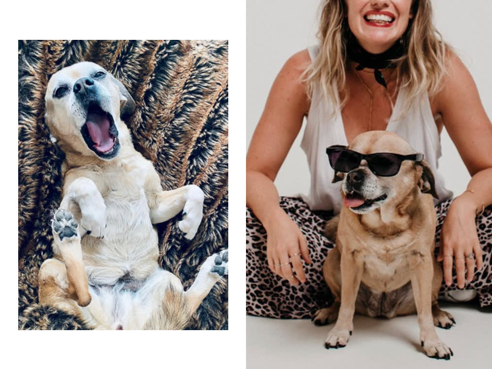 left: kathryn budig's small dog stretches. right: kathryn budig sits with her dog, who wears sunglasses