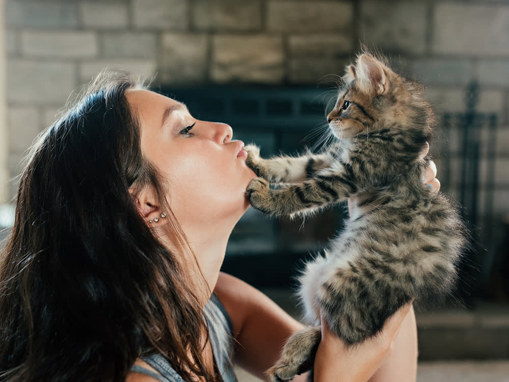 A brunette woman holding a spotted gray kitten up to her face while its front paws rest on her chin