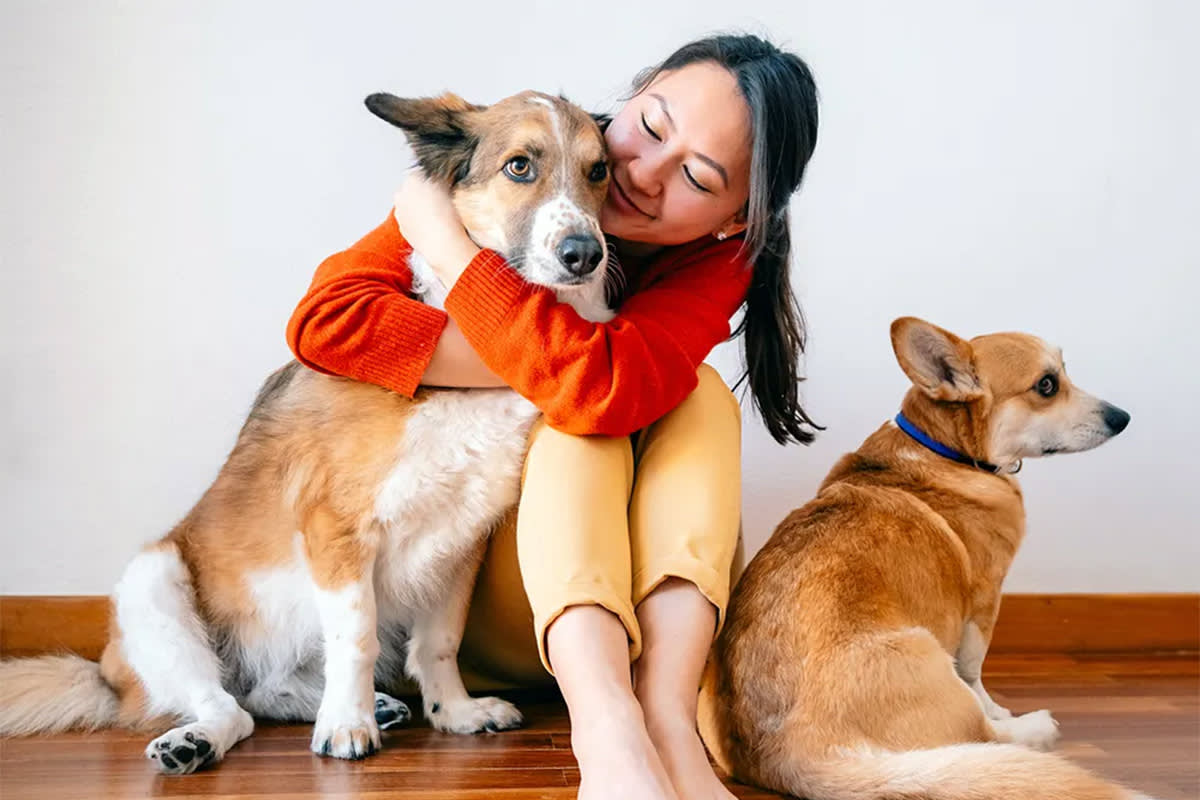 Person hugging a dog