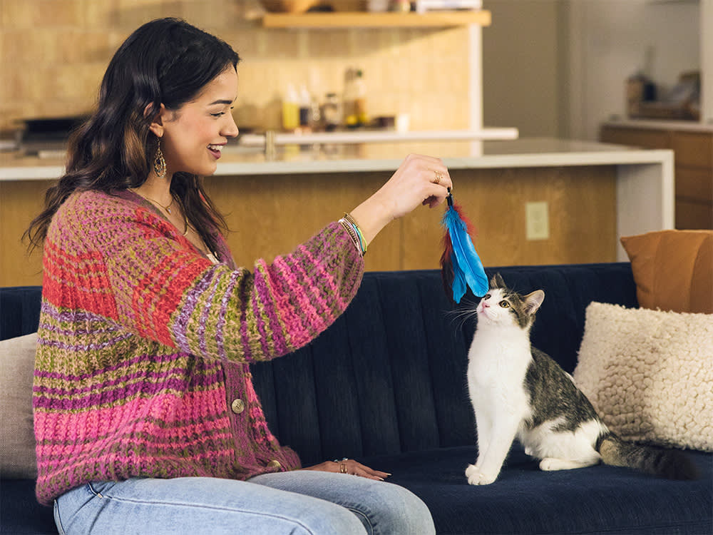 4 Cat Toys That Act Like Prey to Satisfy All Your Cat's Hunter