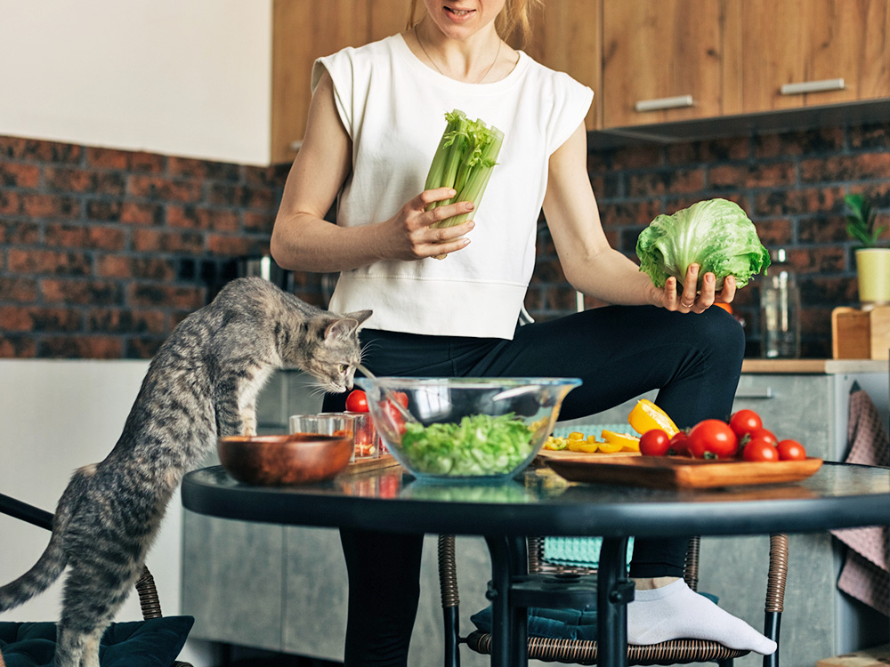 cat climbing onto a table with various vegetables on it 