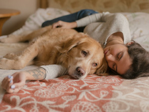 a beautiful girl with long hair lies on the bed and hugs her dog. the dog looks away sad