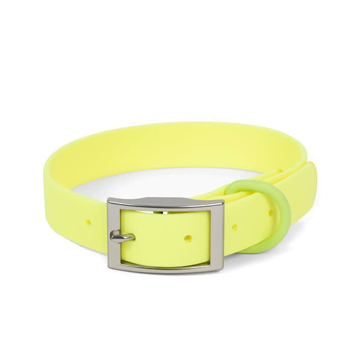 Everyday PVC Collar, Lucy & Co