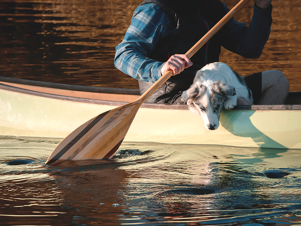 A dog looking at its reflection in the water while sitting in a canoe with a man.