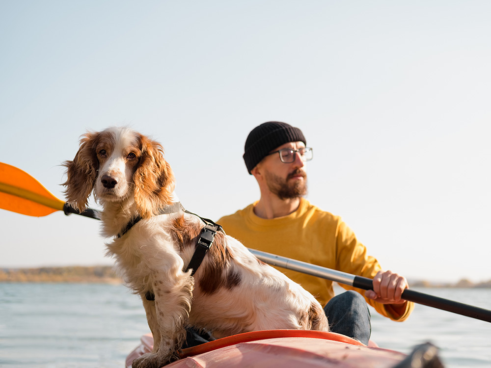How to Safely (Doggie) Paddle With Your Pup in a Canoe · The Wildest