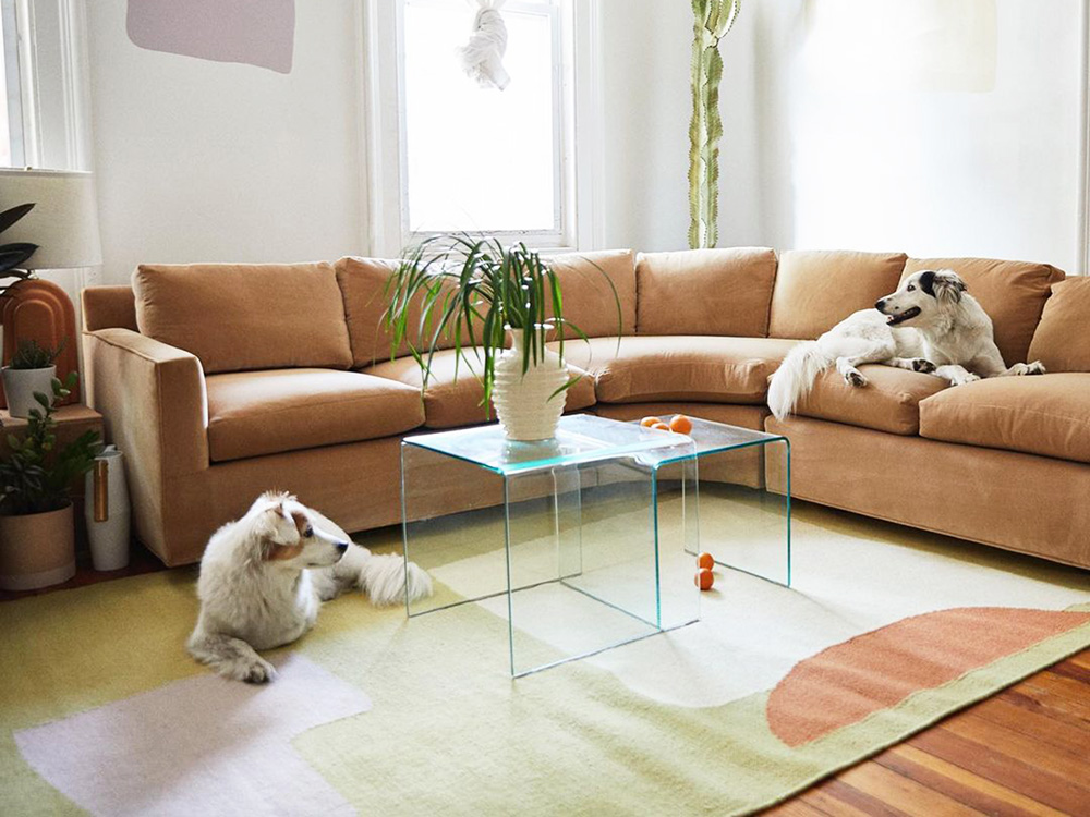 cold picnic founders Phoebe Sung and Peter Buer and dogs