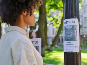 Sad woman looking for her lost cat, hanging posters with missing pet photo.