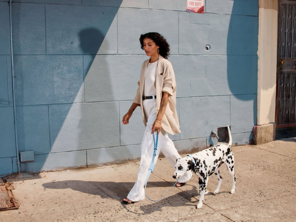 a woman walks a large dog on a blue leash 