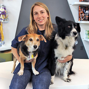 Annie Harvilicz, 47, opened her home and an empty pet hospital to more than 40 dogs and cats.