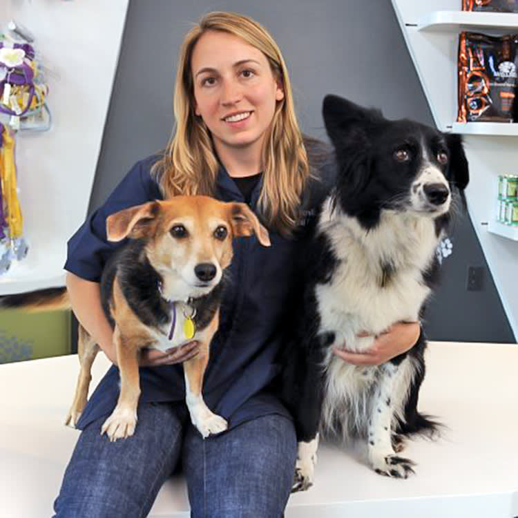 Annie Harvilicz, 47, opened her home and an empty pet hospital to more than 40 dogs and cats.