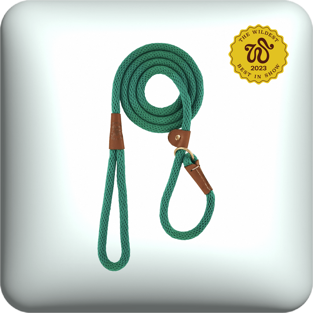 mendota slip lead