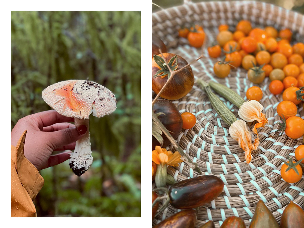 indy srinath in garden 