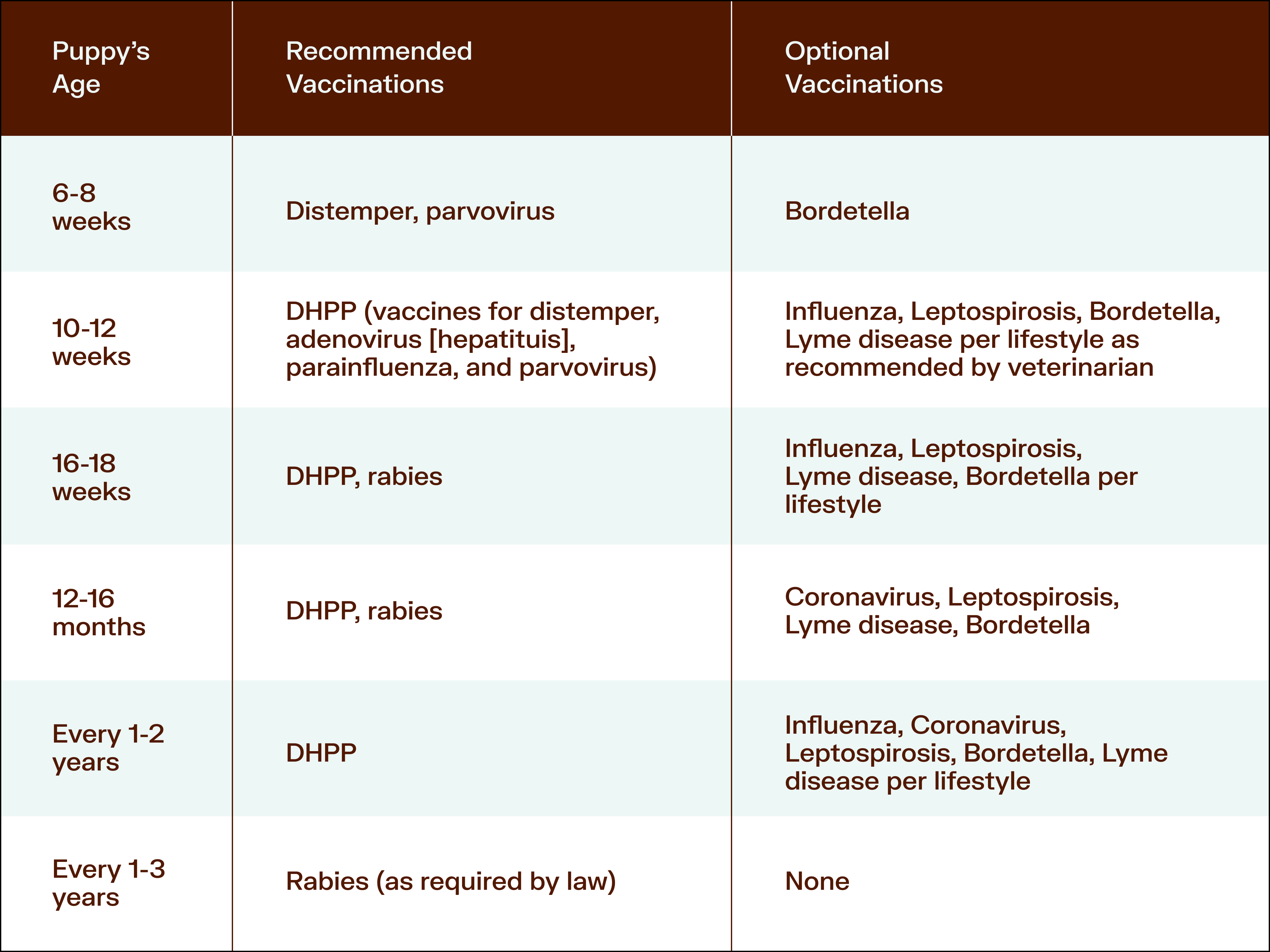 Puppy 2024 vaccination guide